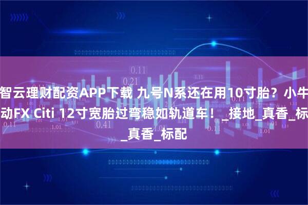 智云理财配资APP下载 九号N系还在用10寸胎？小牛电动FX Citi 12寸宽胎过弯稳如轨道车！_接地_真香_标配