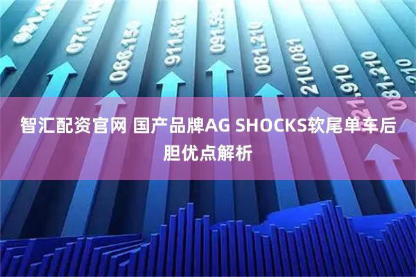 智汇配资官网 国产品牌AG SHOCKS软尾单车后胆优点解析